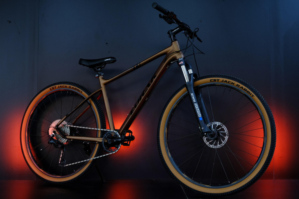 LORAK Sel 9750 SE Матовый Коричневый 17р (на рост 155-173)