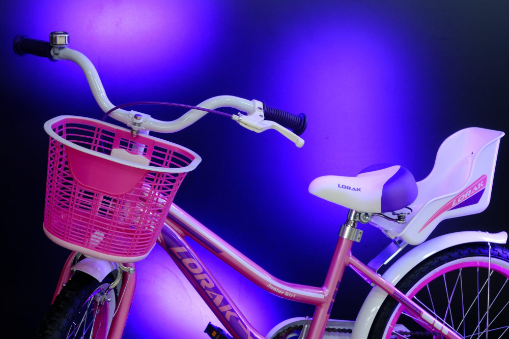 LORAK JUNIOR 20 Girl Doll Розовый/Фиолетовый