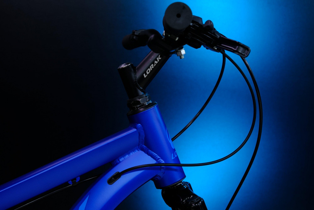 LORAK Fast Brown 26 Матовый Синий