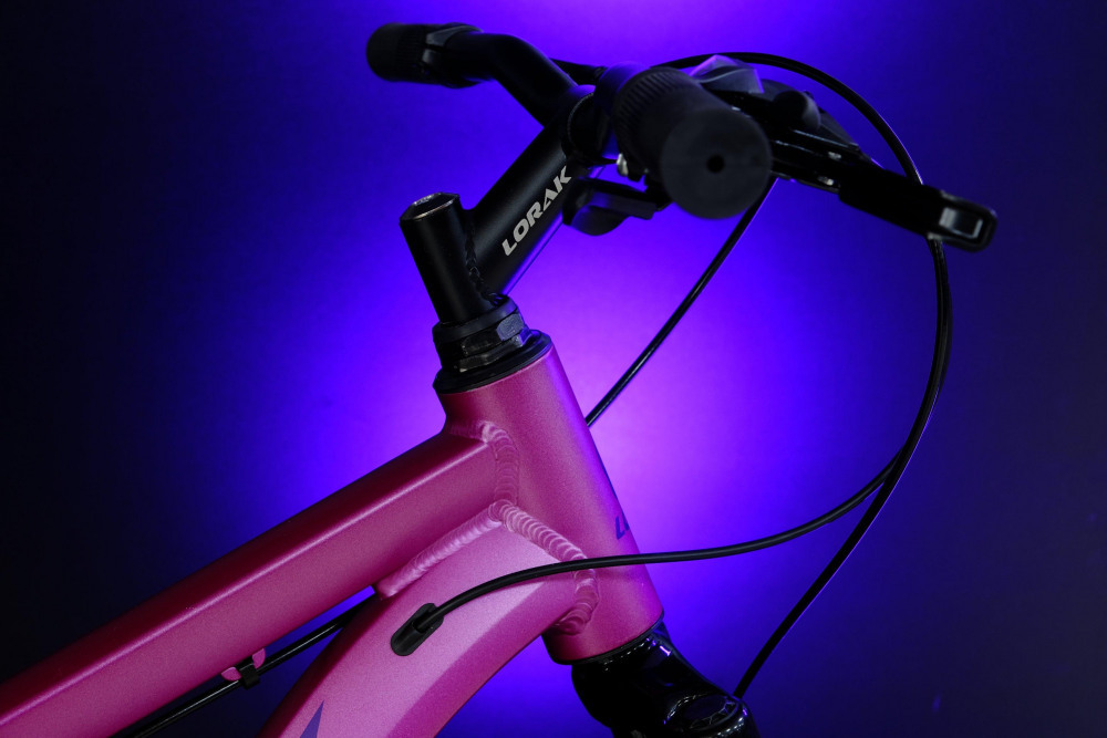 LORAK Fast Brown 26 Розовый