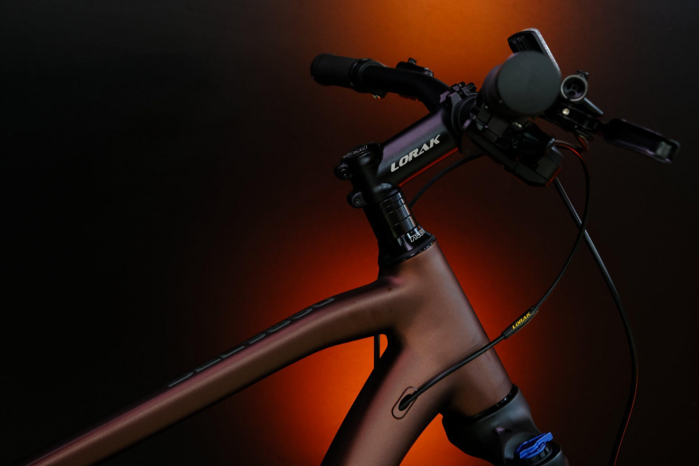 LORAK Sel 9850 Матовый Коричневый 21р (на рост 183-190)